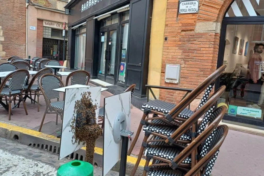 Une table dans un bar prise d'assaut par des abeilles.