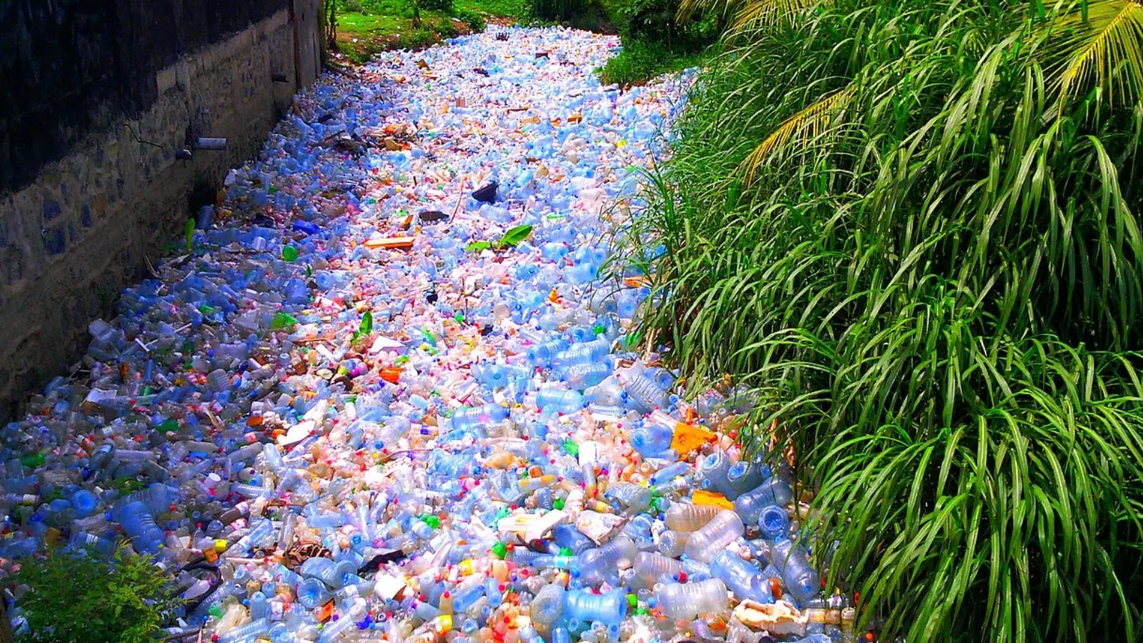 Les scientifiques viennent de créer un « plastique vivant » qui peut s'autodétruire sur commande comme solution aux 430 millions de tonnes produites chaque année
