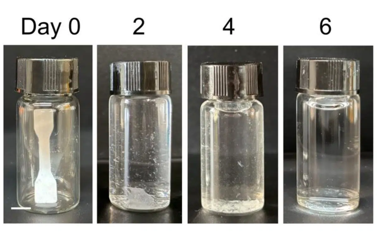 Un plastique vivant, doté de deux enzymes coopératives capables de dégrader le plastique, a complètement dégradé le matériau en six jours.