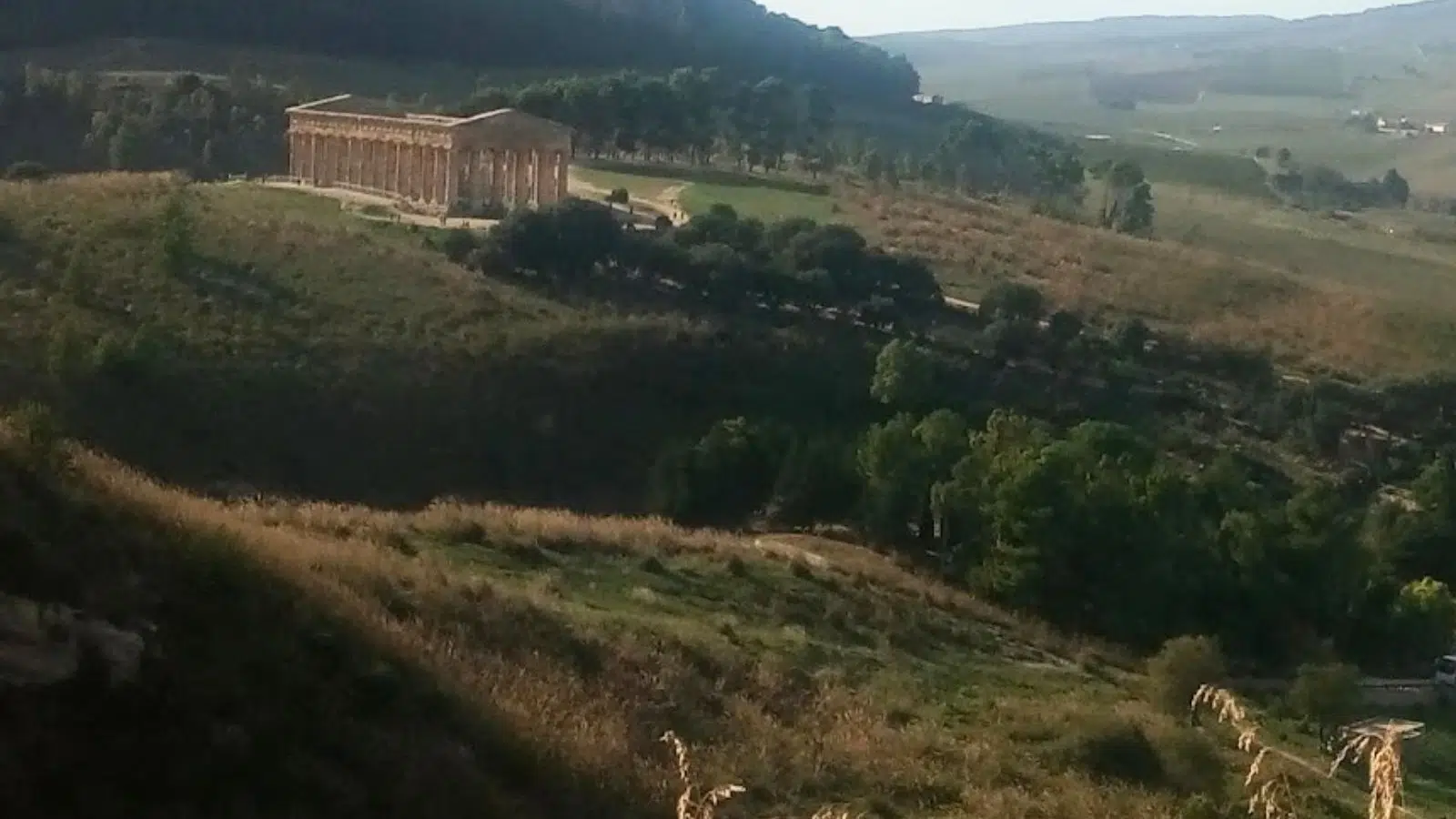 Le légendaire Cyclope viendrait en fait d'une confusion des grecs avec un animal aujourd'hui disparu en Europe : l'éléphant nain Le légendaire Cyclope viendrait en fait d'une confusion des grecs avec un animal aujourd'hui disparu en Europe : l'éléphant nain