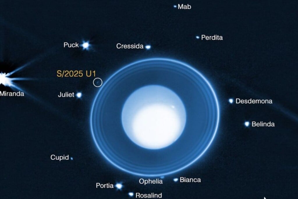 Des astronomes utilisant le télescope spatial James Webb de la NASA ont découvert une nouvelle lune en orbite autour d’Uranus dans des images prises par la caméra proche infrarouge de Webb (NIRCam, Near-Infrared Camera). Cette image montre la lune, désignée S/2025 U1, ainsi que 13 des 28 autres lunes connues qui orbitent autour de la planète. (La petite lune Cordelia orbite juste à l’intérieur de l’anneau le plus externe, mais n’est pas visible sur ces vues en raison de l’éblouissement causé par les anneaux.)En raison des différences spectaculaires de niveaux de luminosité, l’image est une composition issue de trois traitements différents des données, permettant au spectateur de voir les détails de l’atmosphère planétaire, des anneaux environnants et des lunes en orbite. Les données ont été obtenues avec le filtre large bande F150W2 de la NIRCam, qui transmet des longueurs d’onde infrarouges d’environ 1,0 à 2,4 microns. NASA, ESA, CSA, STScI, M. El Moutamid (SwRI), M. Hedman (University of Idaho)