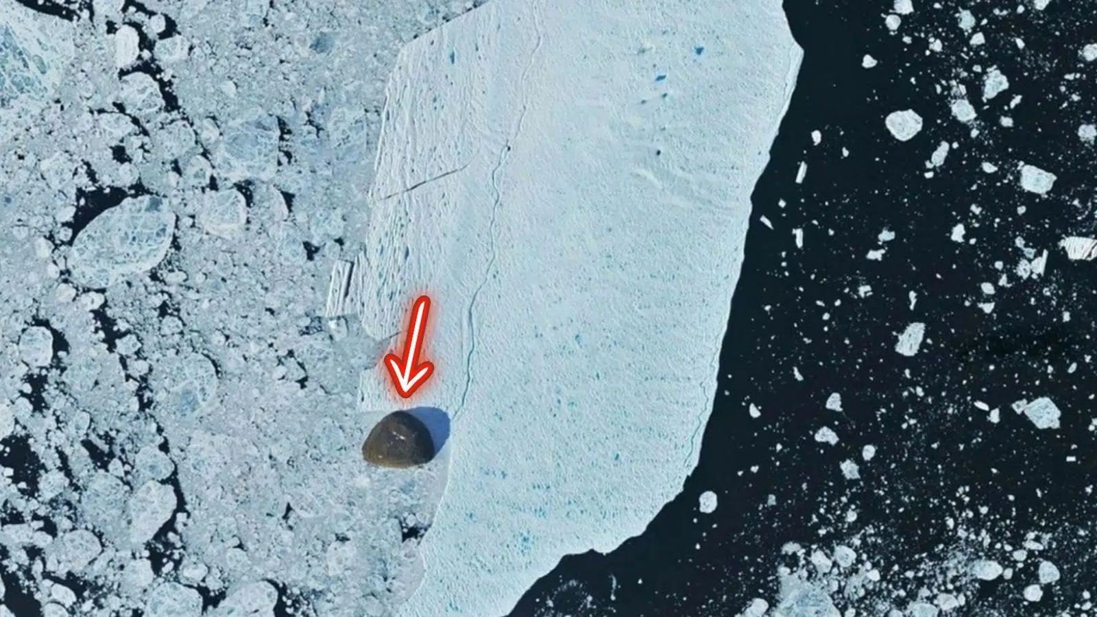 Grand comme les 2/3 de Paris, ce mastodonte de glace a rencontré une île sur son chemin et contre toute attente a encaissé le choc sans broncher