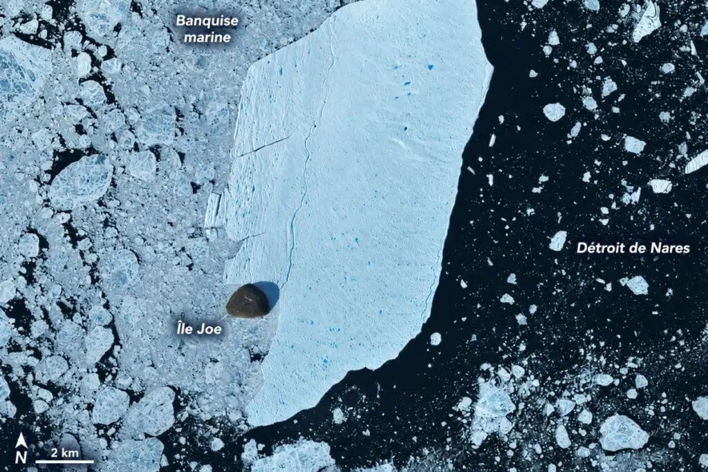 Gros plan de la rencontre de l'iceberg avec l'île Joe, capturé par Landsat 9 le 24 août 2026. Crédit : NASA Earth Observatory, Lauren Dauphin
