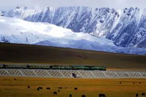 Train tiré par une locomotive diesel NJ2 des chemins de fer chinois sur la ligne Qinghai-Tibet en 2008.