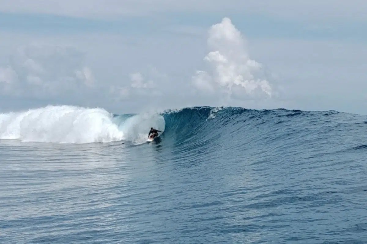 La plus grande vague du monde est en France et était quasiment inconnue jusque dans les années 2000 La plus grande vague du monde est en France et était quasiment inconnue jusque dans les années 2000