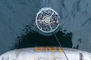 Cet animal « mutant » pour sa survie au fond de nos océans pourrait être une des clés pour lutter contre le réchauffement climatique