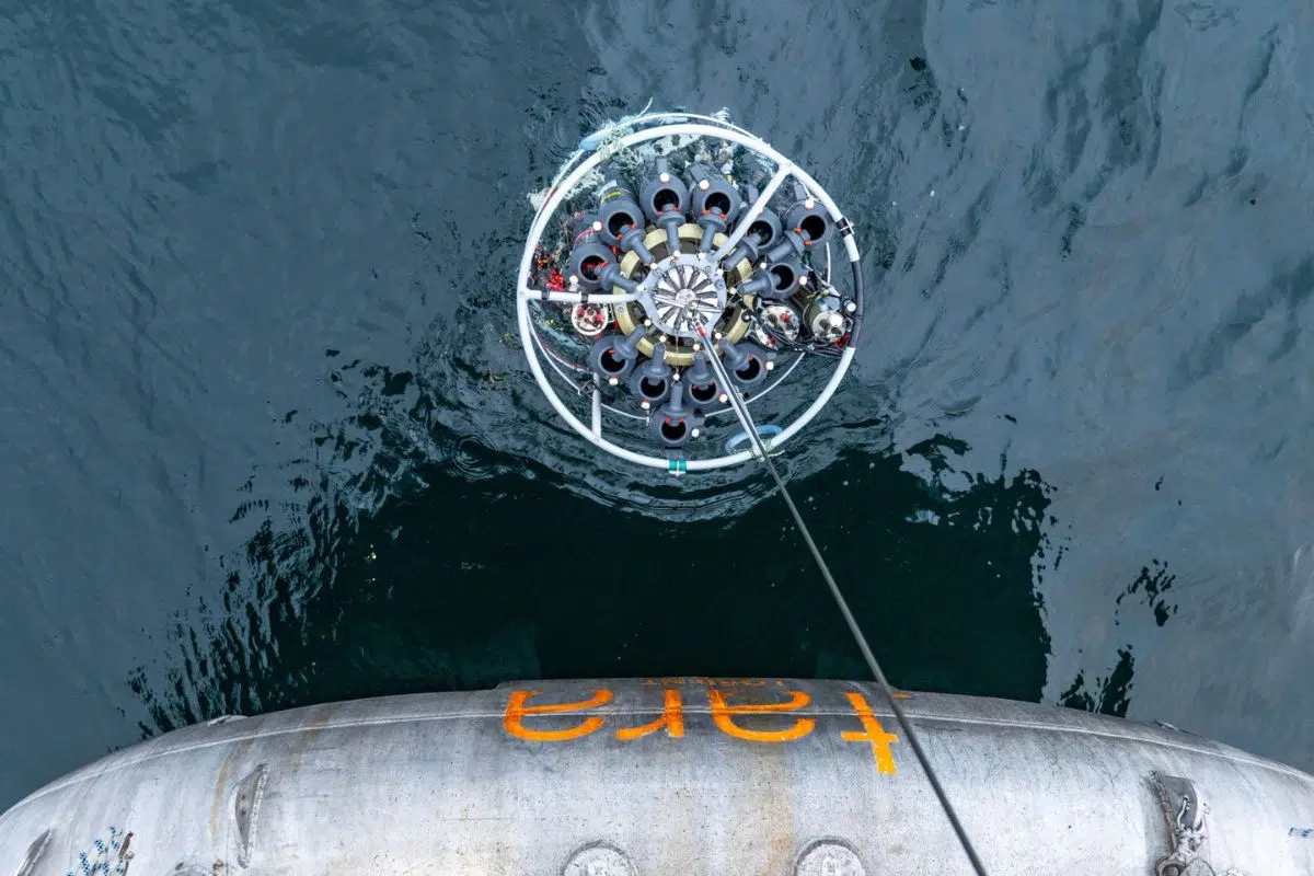 Cet animal « mutant » pour sa survie au fond de nos océans pourrait être une des clés pour lutter contre le réchauffement climatique Cet animal « mutant » pour sa survie au fond de nos océans pourrait être une des clés pour lutter contre le réchauffement climatique