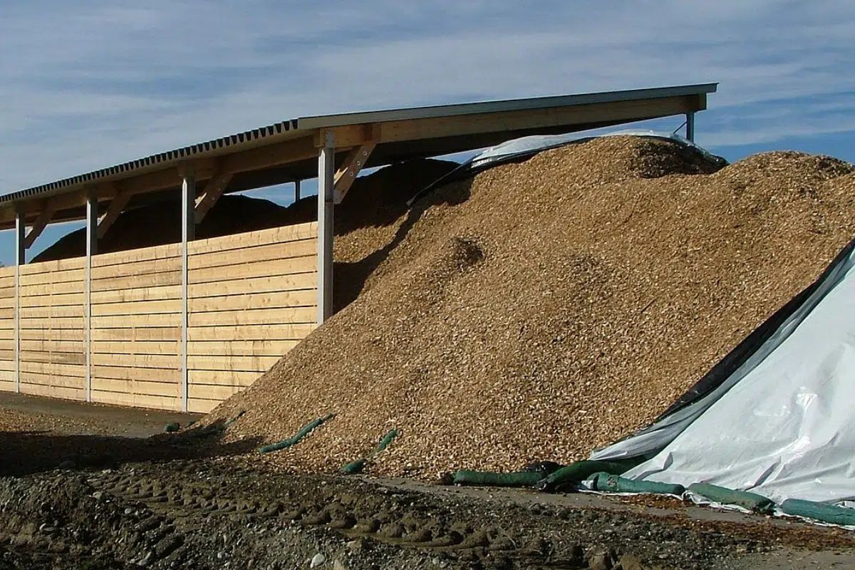 La France produit actuellement 309 millions de tonnes de matière sèche (Mt MS/an) de biomasse primaire (non transformée). Celle-ci esten très grande majorité (82%) d'origine agricole, et dans une moindre mesure forestière et bocagère (13%) ou sous forme de déchets (4%). (source : ADEME)