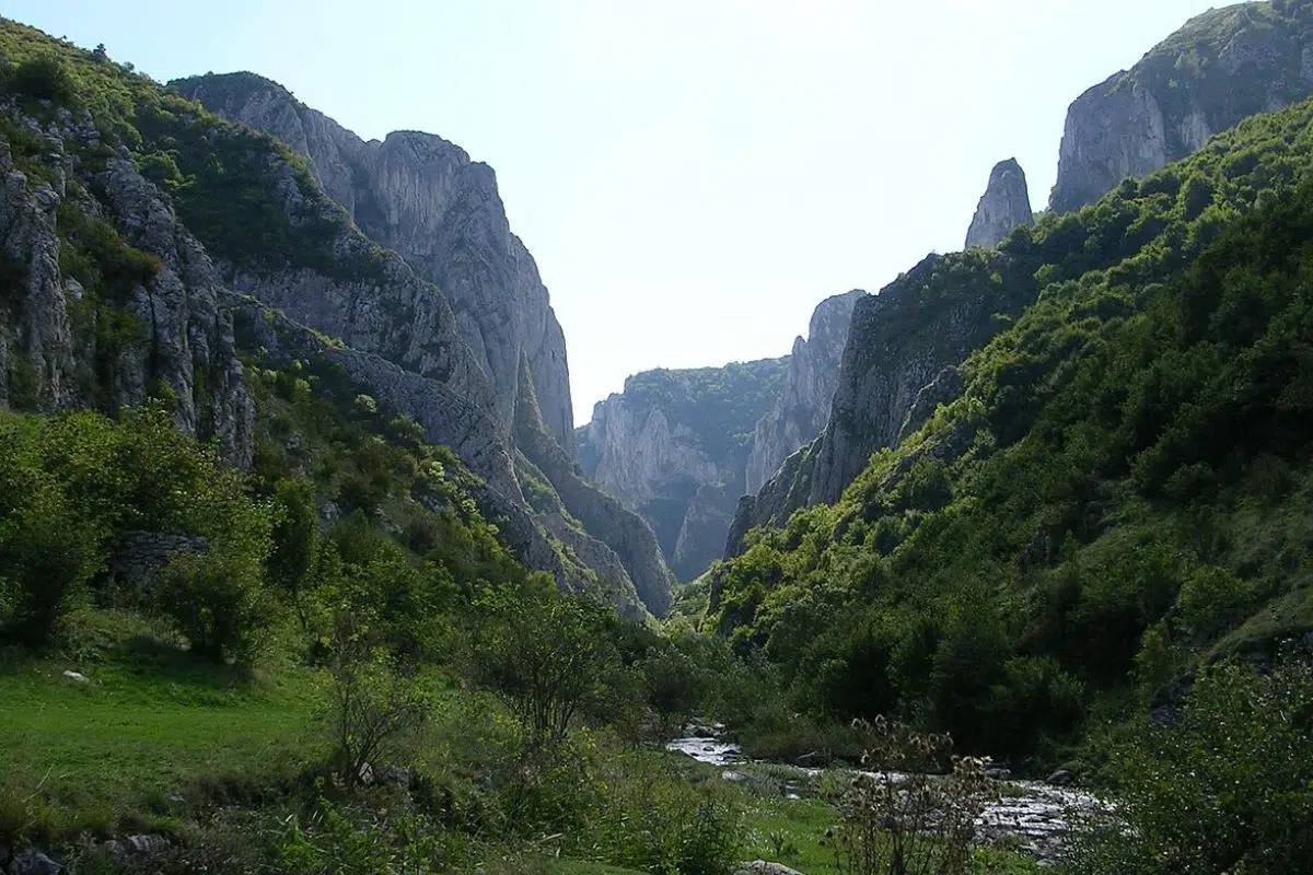 Un géant français au pays de Dracula ! VINCI passe à la vitesse supérieure en Europe de l'Est en rachetant le roumain EnergoBit Un géant français au pays de Dracula ! VINCI passe à la vitesse supérieure en Europe de l'Est en rachetant le roumain EnergoBit
