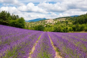 La France a perdu 