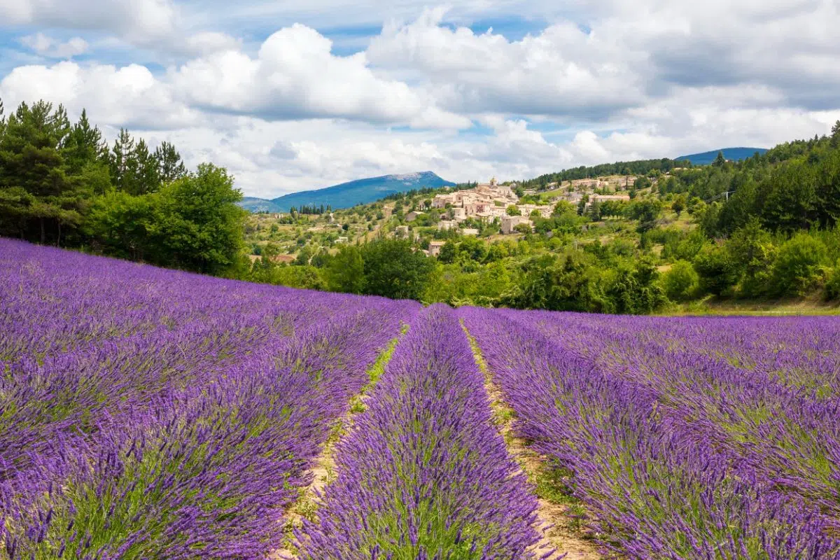 La France a perdu La France a perdu
